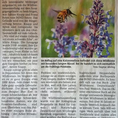 Artikel-Wildbienenausstellung