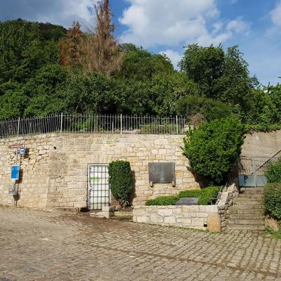 M 20190526_174531 Ansicht von der Straße - kranke Bäume