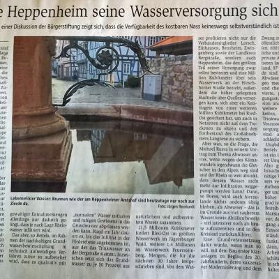 Bericht Vortrag Wasser SE