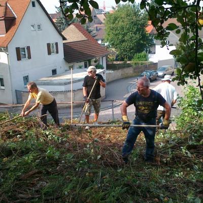 1k -26.08.2017 - Bei der Arbeit - Foto 1