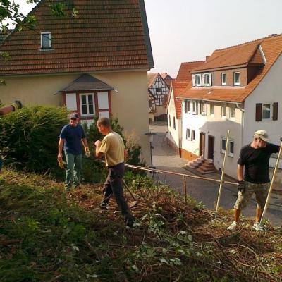 2k - 26.08.2017 - Bei der Arbeit - Foto 2